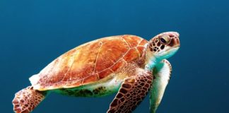 50 Tips and Insights About Productivity, Happiness, and Life