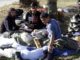 Abogada de la UE: Hungría, Polonia y Chequia violan ley al no reubicar a los refugiados