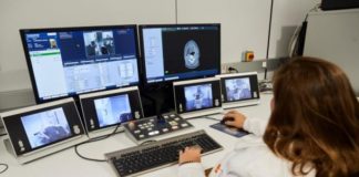 Atacar células troncales podría evitar metástasis, señala investigación