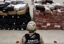 Analista dice que declarar terroristas a los carteles producirá más violencia