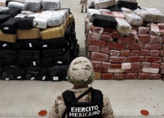 Analista dice que declarar terroristas a los carteles producirá más violencia