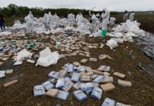 Panamá incinera 24,6 toneladas de drogas incautadas en los últimos dos meses