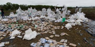 Presidente Hernández: «Mi gobierno bajo el paso de la droga de 87% a 4%»