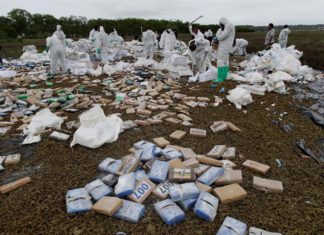 Panamá incinera 24,6 toneladas de drogas incautadas en los últimos dos meses