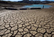 Crisis climática arrasa cultivos, ríos y ganado en empobrecida Centroamérica