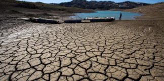 Crisis climática arrasa cultivos, ríos y ganado en empobrecida Centroamérica