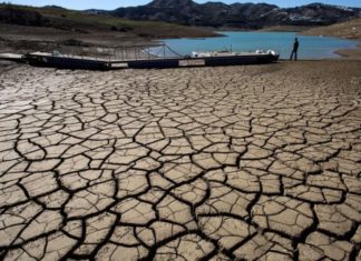 Crisis climática arrasa cultivos, ríos y ganado en empobrecida Centroamérica