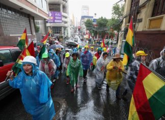 El opositor Mesa pide al oficialismo que facilite la sucesión a Evo Morales