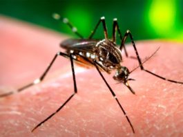 Muere menor de edad con sospecha de dengue en Honduras