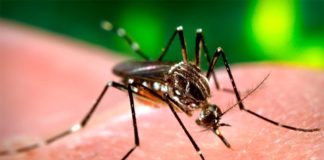 Muere menor de edad con sospecha de dengue en Honduras