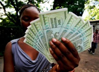 Zimbabue introduce nuevos billetes y monedas para paliar la falta de efectivo