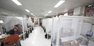 Se incrementa a 155 el número de muertes por dengue grave en Honduras