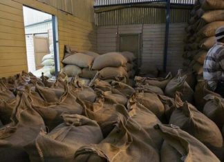Las exportaciones de café de Brasil crecen un 22,8 % entre enero y octubre