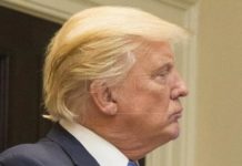 Corte de Apelaciones ordena a Trump entregar impuestos a fiscal de Nueva York