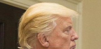 Corte de Apelaciones ordena a Trump entregar impuestos a fiscal de Nueva York