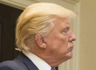 Corte de Apelaciones ordena a Trump entregar impuestos a fiscal de Nueva York