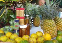 Productores de Santa Cruz de Yojoa realizarán mañana la FeriSAG