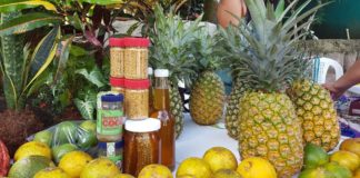 Productores de Santa Cruz de Yojoa realizarán mañana la FeriSAG