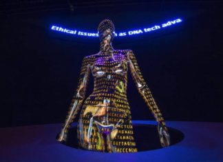 El ADN empieza a completar la historia pérdida de los esclavos: sus orígenes