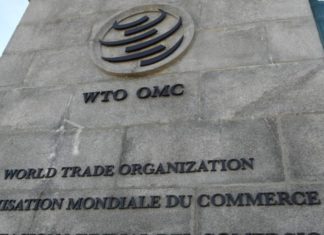 OMC prevé que continúe la contracción del comercio global en cuarto trimestre