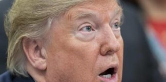 Protestas presionan a Trump y a gobernadores para levantar cuarentena en EEUU