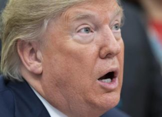 Trump dice que designará a carteles mexicanos como organizaciones terroristas