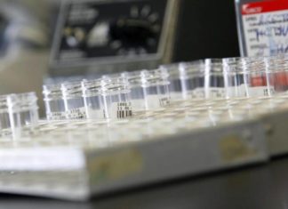 El bienestar animal, un aliado contra la resistencia a los antibióticos