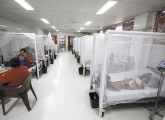 Más de 96 mil casos de dengue se registran en Honduras