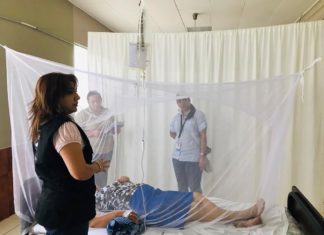 Secretaría de Salud confirma 157 muertes por dengue