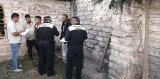 Detienen a cuatro personas por deforestación de La Tigra