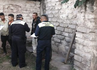 Detienen a cuatro personas por deforestación de La Tigra