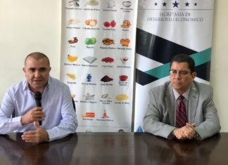 Autoridades hondureñas garantizan estabilidad de precios en productos básicos y de la temporada navideña