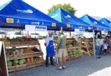 Unas 9,500 familias se beneficiarán con nueva Ahorro Feria El Lempirita en San Pedro Sula