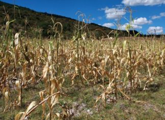 Honduras insistirá en más apoyo para disminuir impacto del cambio climático