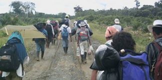 Desplazamiento es una de mayores «tragedias humanas», dice cardenal hondureño
