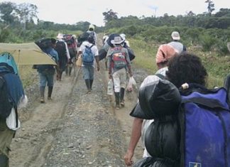 Desplazamiento es una de mayores «tragedias humanas», dice cardenal hondureño