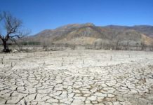 Una cumbre dará voz a más de 600 millones de latinos ante la crisis climática