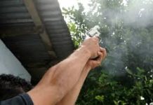 Sanciones de L.48 mil en adelante para “gatillos alegres”, advierte la Policía