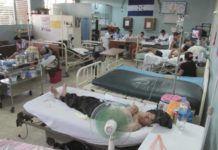Se eleva a 178 el número de muertes por dengue en Honduras