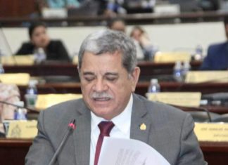 Antes del 15 de diciembre, el Congreso Nacional aprobaría el Presupuesto General del 2020