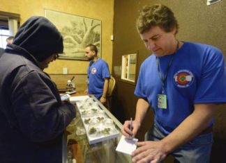 Marihuana y hongos psicodélicos, Colorado ofrece más opciones