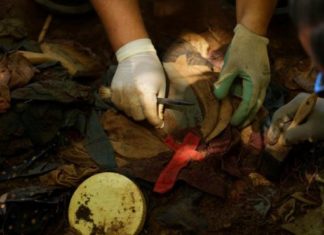 Supremo de El Salvador niega extravío de muestras de ADN de masacre de 1981