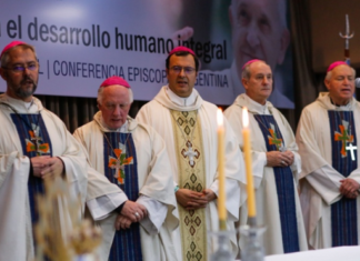 Obispos argentinos expresan a Fernández «desazón» por protocolo sobre aborto