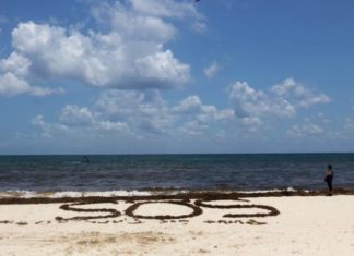 El cambio climático mermará el oxígeno de los océanos hasta un 4 % en 2100