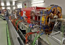 La luz de sincrotrón que todo lo ve…hasta la historia de los cocodrilos