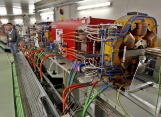 La luz de sincrotrón que todo lo ve…hasta la historia de los cocodrilos