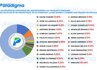 ¿Qué diputado se proyectó más en Francisco Morazán durante 2019?
