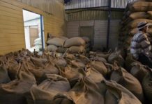 Brasil exporta café a ritmo de récord en 2019 pese a la caída en noviembre