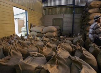 Brasil exporta café a ritmo de récord en 2019 pese a la caída en noviembre