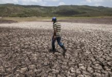 Propuesta sobre readecuación de deuda no tendrá eco, asegura experto en cambio climático